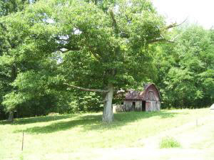 710 Sorrells Road Williams, IN 47470 - Photo 4 of 6 Gallery Image 4