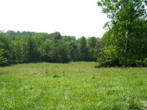 710 Sorrells Road Williams, IN 47470 - Photo 6 of 6 Gallery Image 6