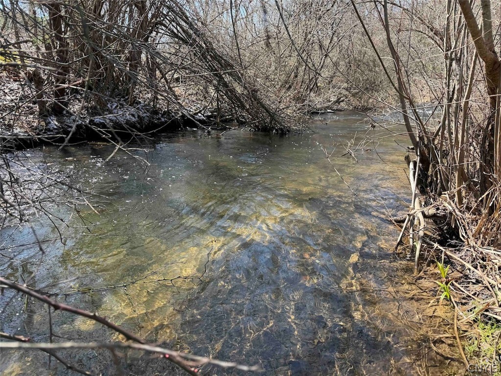 18 Co Road Alma, NY 14708 - Photo 43 of 46