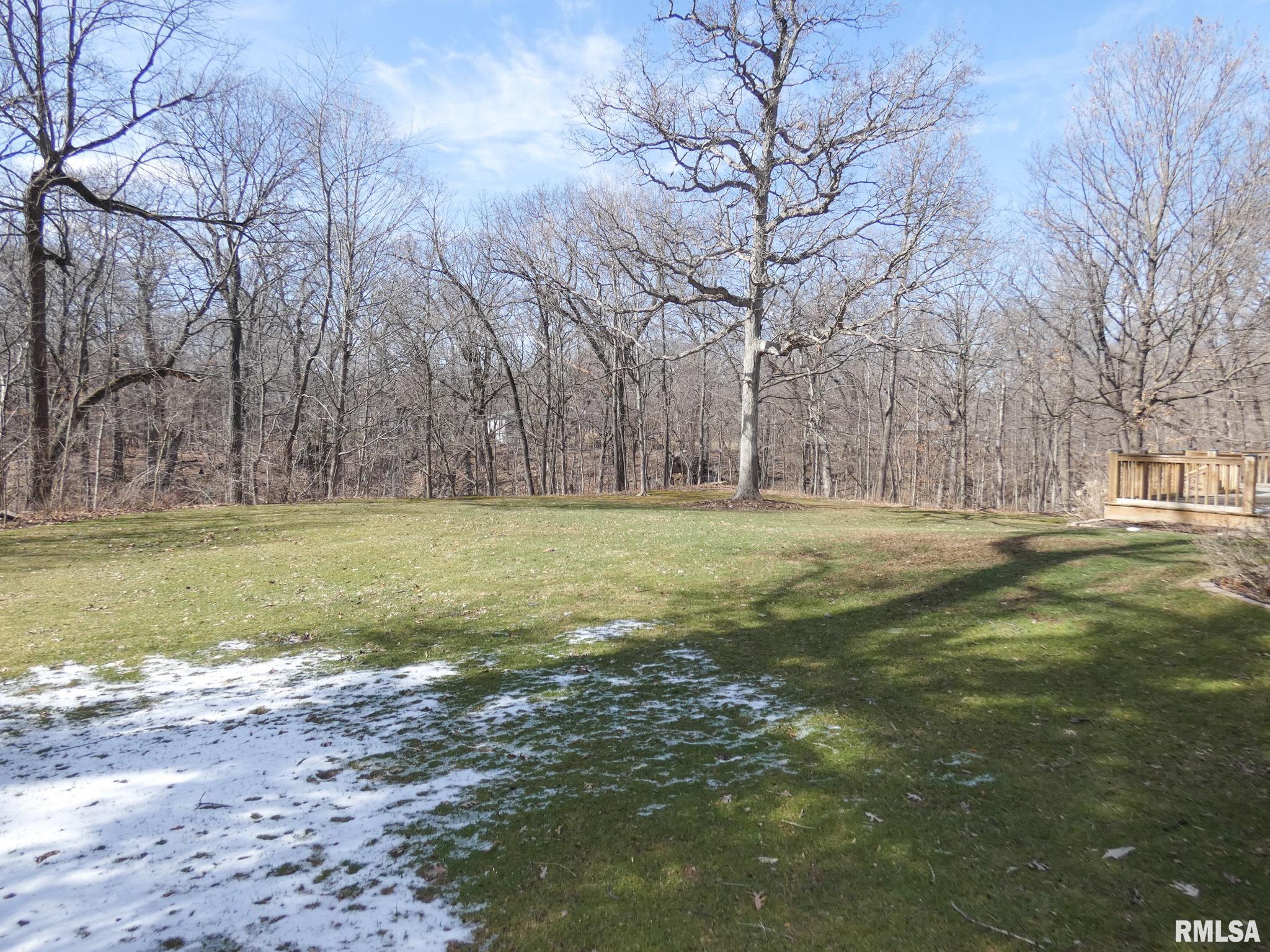 11709 Strathmoore Court Dunlap, IL 61525 - Photo 46 of 48 Gallery Image 46