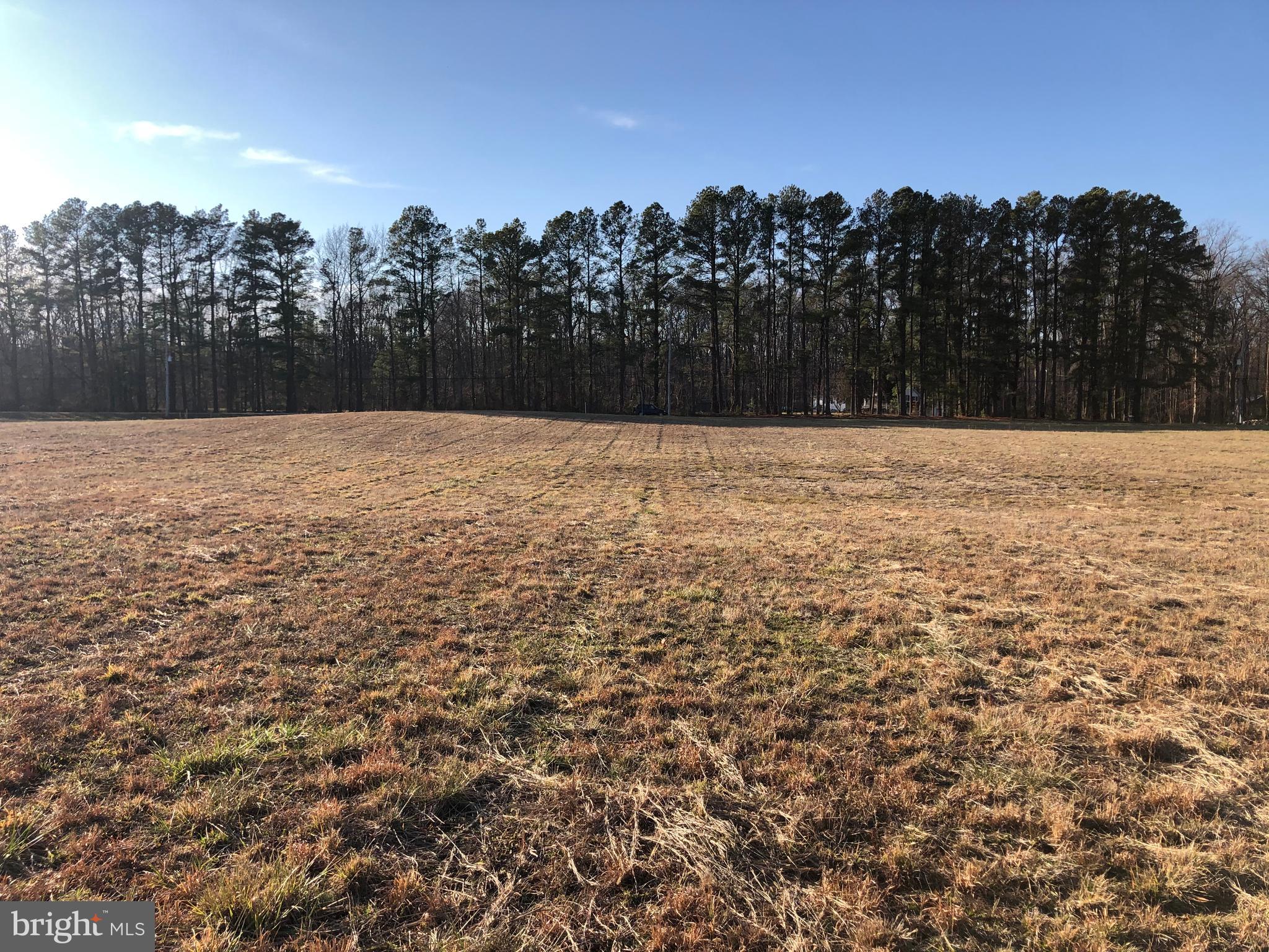 1241 Dexter Corner Road Townsend, DE 19734 - Photo 1 of 10 View from the Rear of the lot