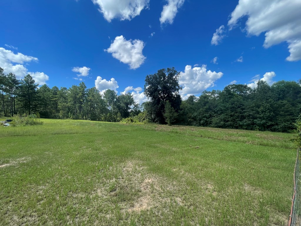 3721 State Line Road Cottonwood, AL 36320 - Photo 20 of 21