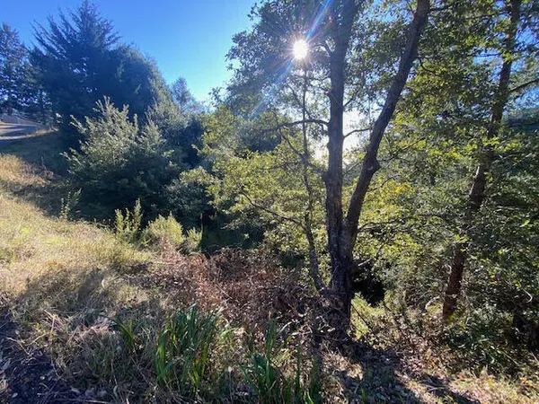 $7,900 | 615 Muskrat Circle, Whitethorn, CA 95589