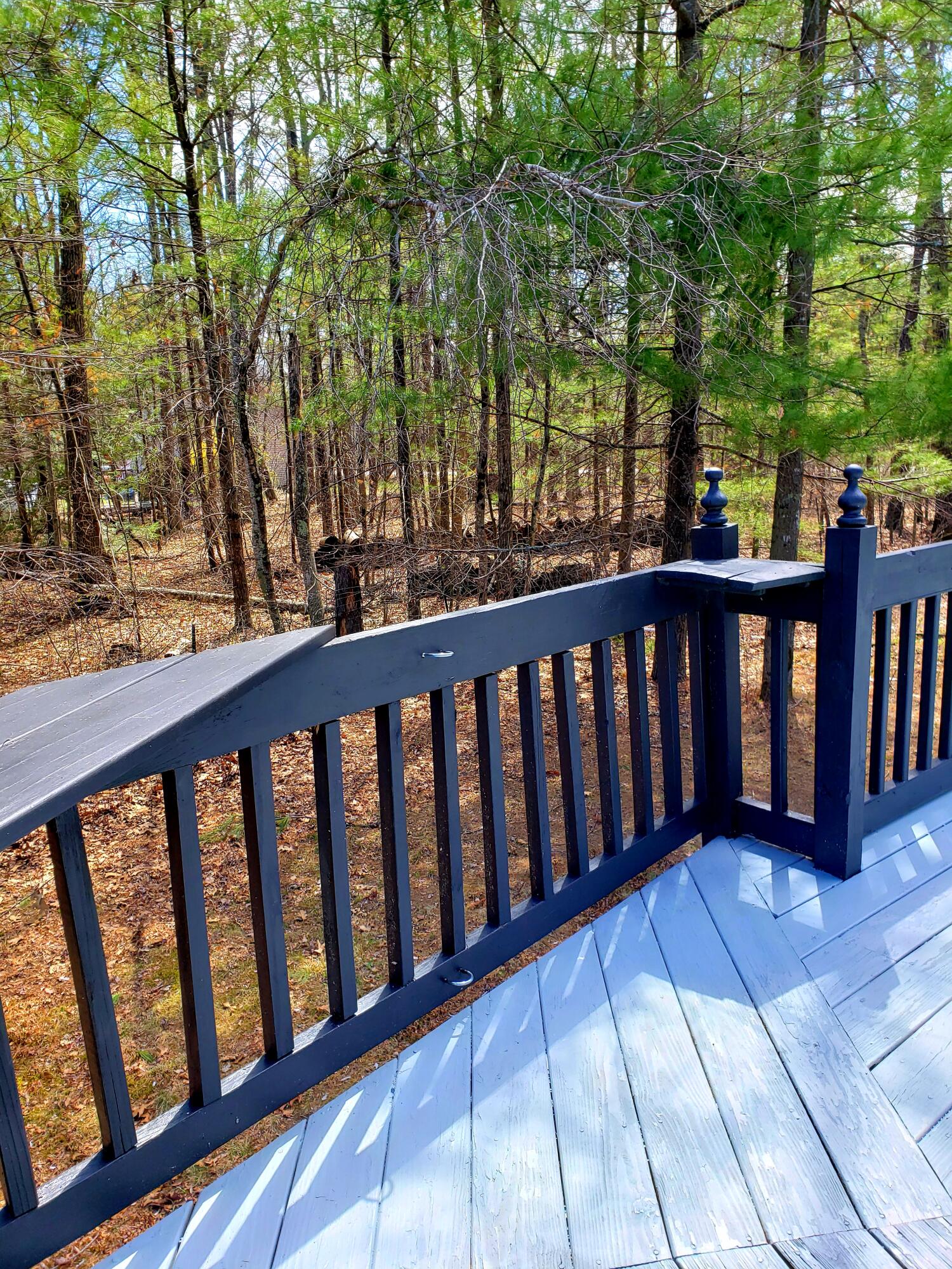 189 Stebbins Road Sanford, ME 04073 - Photo 30 of 72 20210430_220245