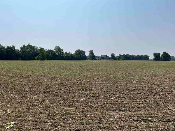 $750,000 | 4442 West Wilson Road, Clio, MI 48420