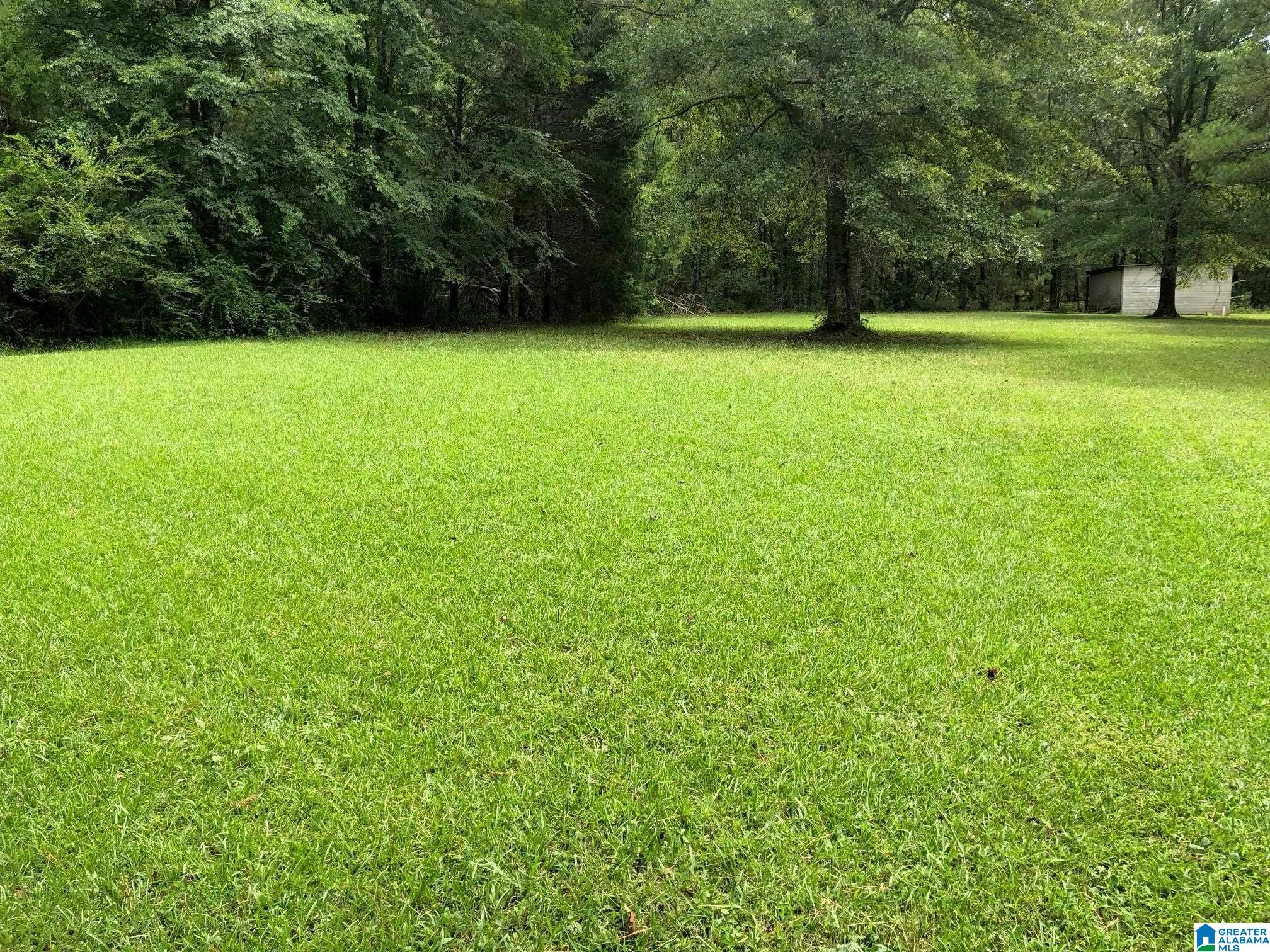 958 Chelsea Road Columbiana, AL 35051 - Photo 5 of 16