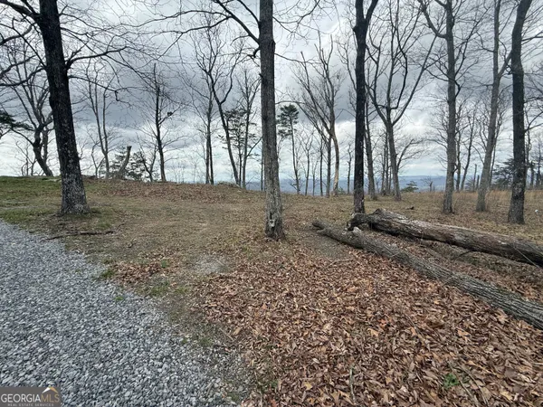 $700,000 | Lot 17 Scenic Highway, Rising Fawn, GA 30738