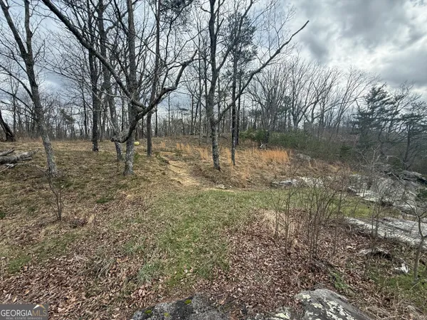 $700,000 | Lot 17 Scenic Highway, Rising Fawn, GA 30738