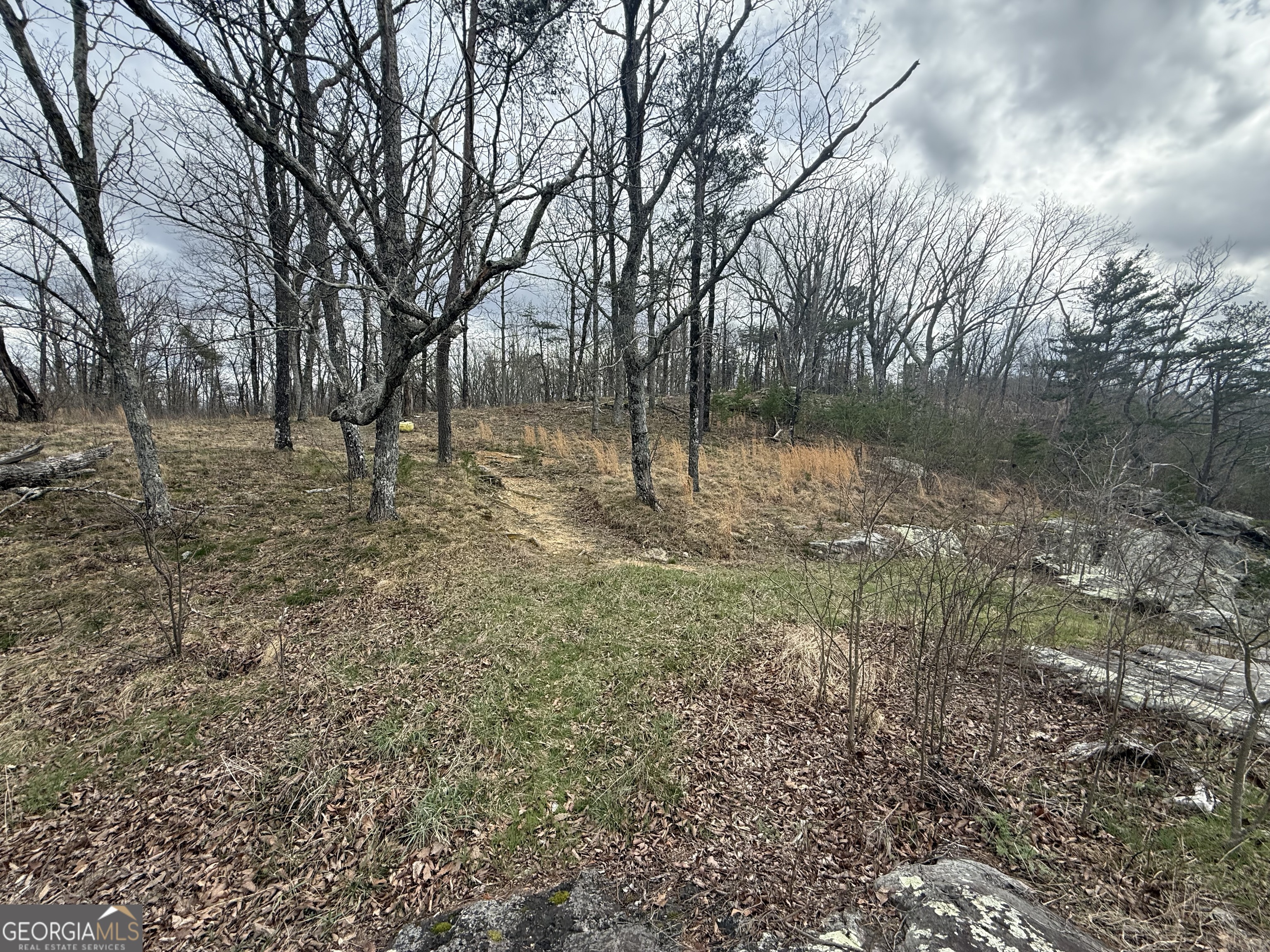 Lot 17 Scenic Highway Rising Fawn, GA 30738 - Photo 4 of 13