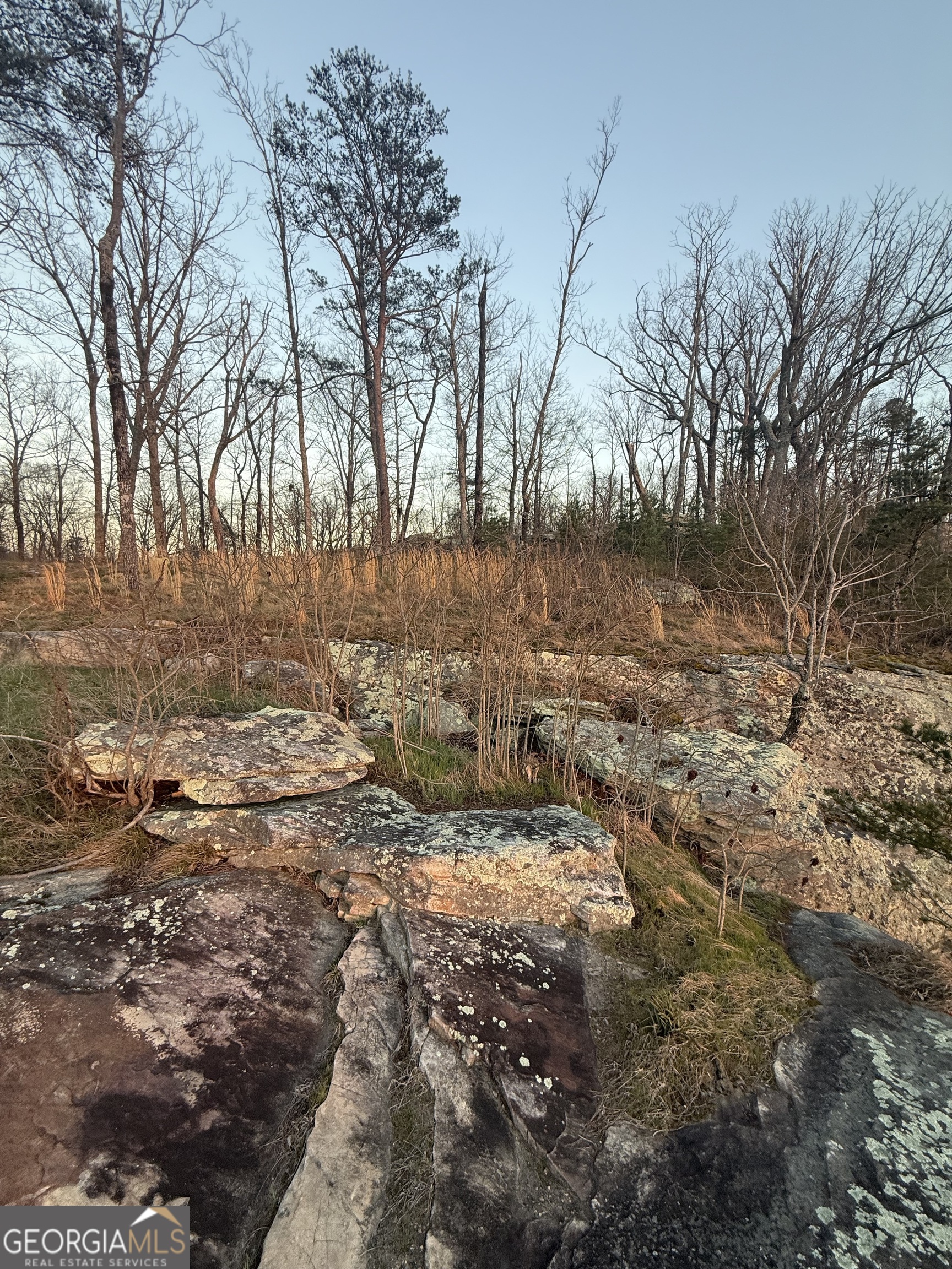 Lot 17 Scenic Highway Rising Fawn, GA 30738 - Photo 5 of 13