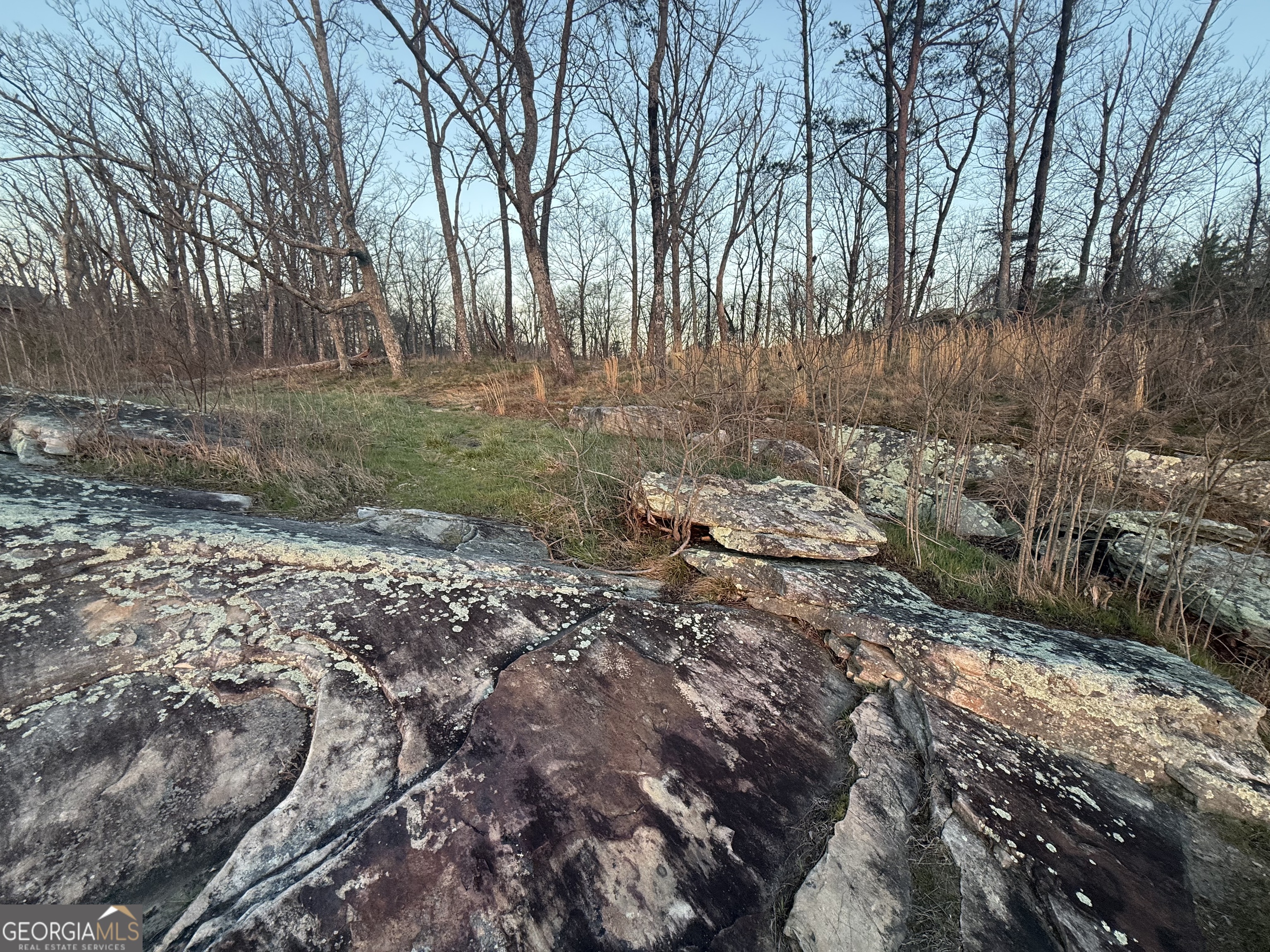 Lot 17 Scenic Highway Rising Fawn, GA 30738 - Photo 6 of 13