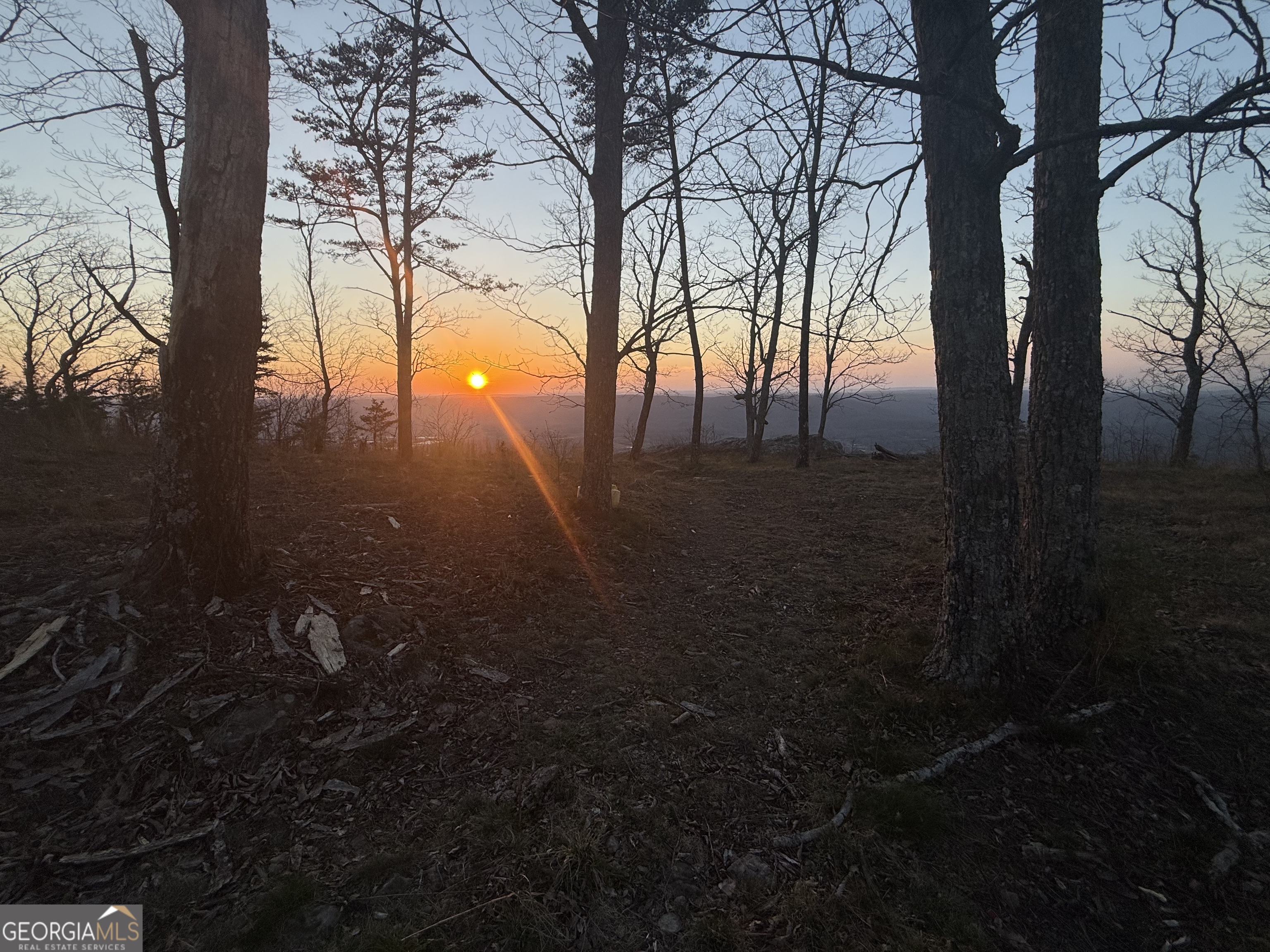 Lot 17 Scenic Highway Rising Fawn, GA 30738 - Photo 10 of 13
