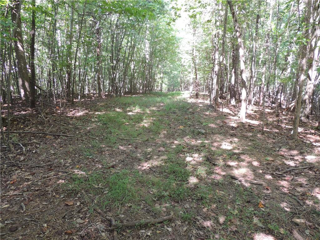 0 Indian Knoll Road Cumming, GA 30041 - Photo 12 of 37 a view of outdoor space with trees all around