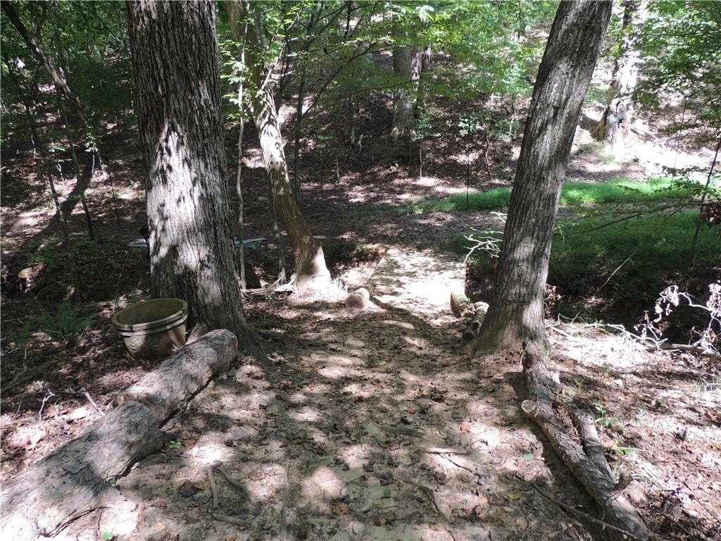 0 Indian Knoll Road Cumming, GA 30041 - Photo 13 of 37 a view of a tree in a yard