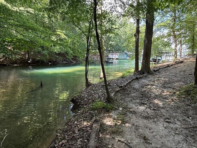 0 Indian Knoll Road Cumming, GA 30041 - Photo 17 of 37 a view of a garden with a tree