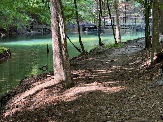 0 Indian Knoll Road Cumming, GA 30041 - Photo 19 of 37 a backyard of a house with lots of green space
