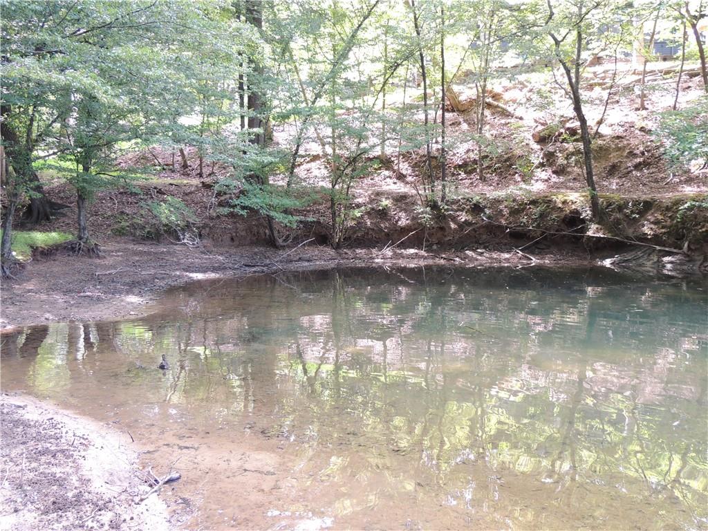 0 Indian Knoll Road Cumming, GA 30041 - Photo 22 of 37 a view of water with a tree