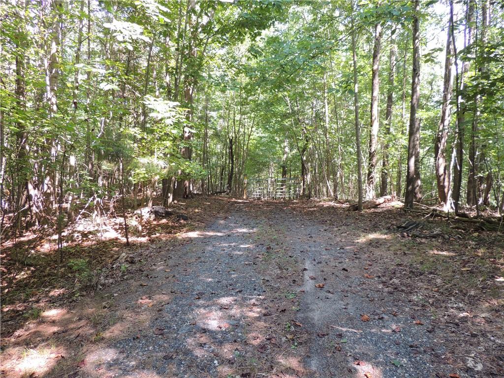 0 Indian Knoll Road Cumming, GA 30041 - Photo 6 of 37 a view of backyard with trees