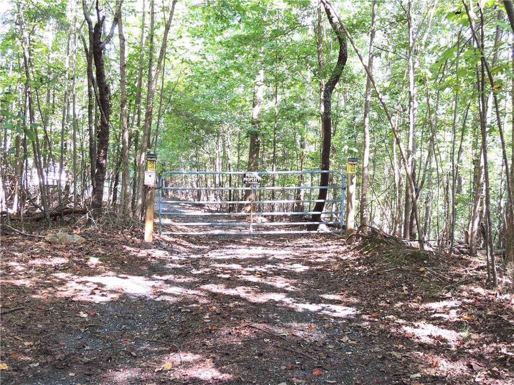 0 Indian Knoll Road Cumming, GA 30041 - Photo 7 of 37 a view of a tree in the middle of a yard