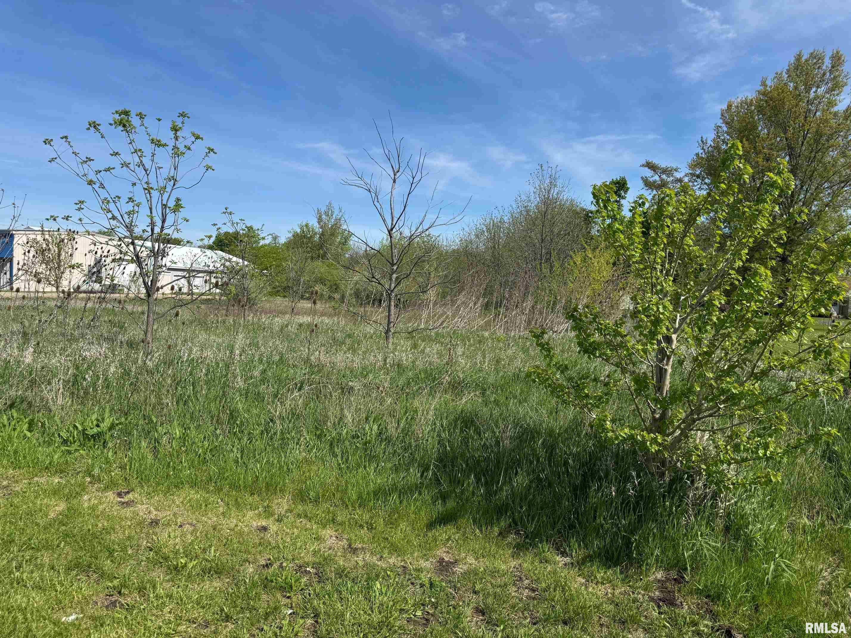 0 State Route 9 Route Pekin, IL 61554 - Photo 4 of 5