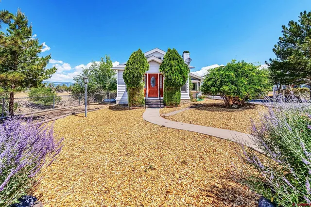 a view of a backyard of the house