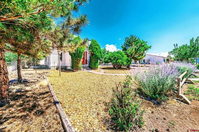 a view of a yard with plants and trees