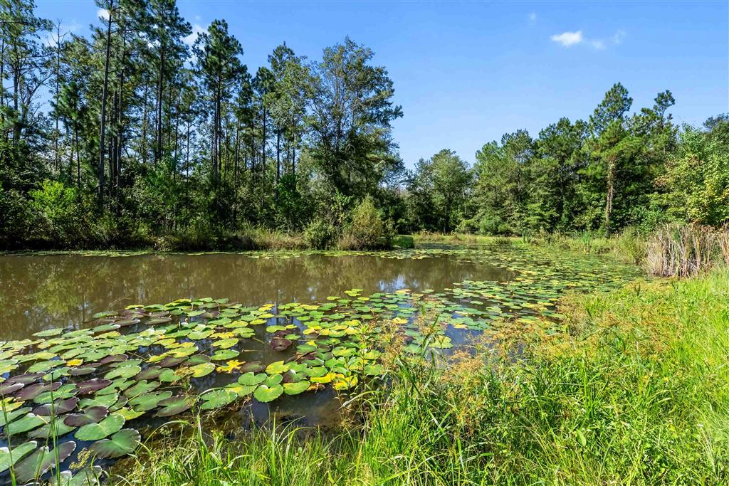 306 Sam Dunham Road Sulphur, LA 70663 - Photo 8 of 40