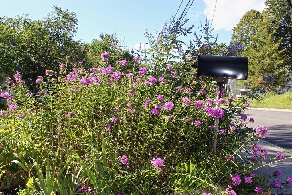 228 High Street Wareham, MA 02571 - Photo 39 of 41