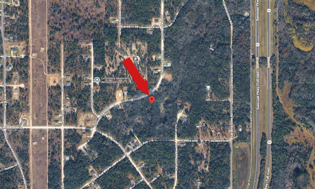 14398 Chimney Swift Road Weeki Wachee, FL 34614 - Photo 3 of 4