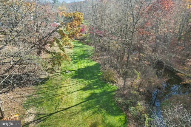 a view of a yard in front of a house with plants and large tree