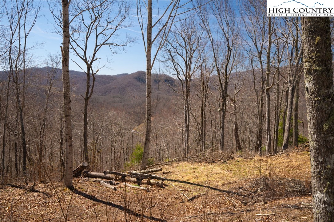 Lot 80 Bear Paw Road Elk Park, NC 28622 - Photo 12 of 19