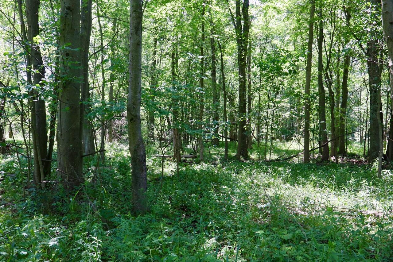 4718 Church Road Six Lakes, MI 48886 - Photo 26 of 76 026