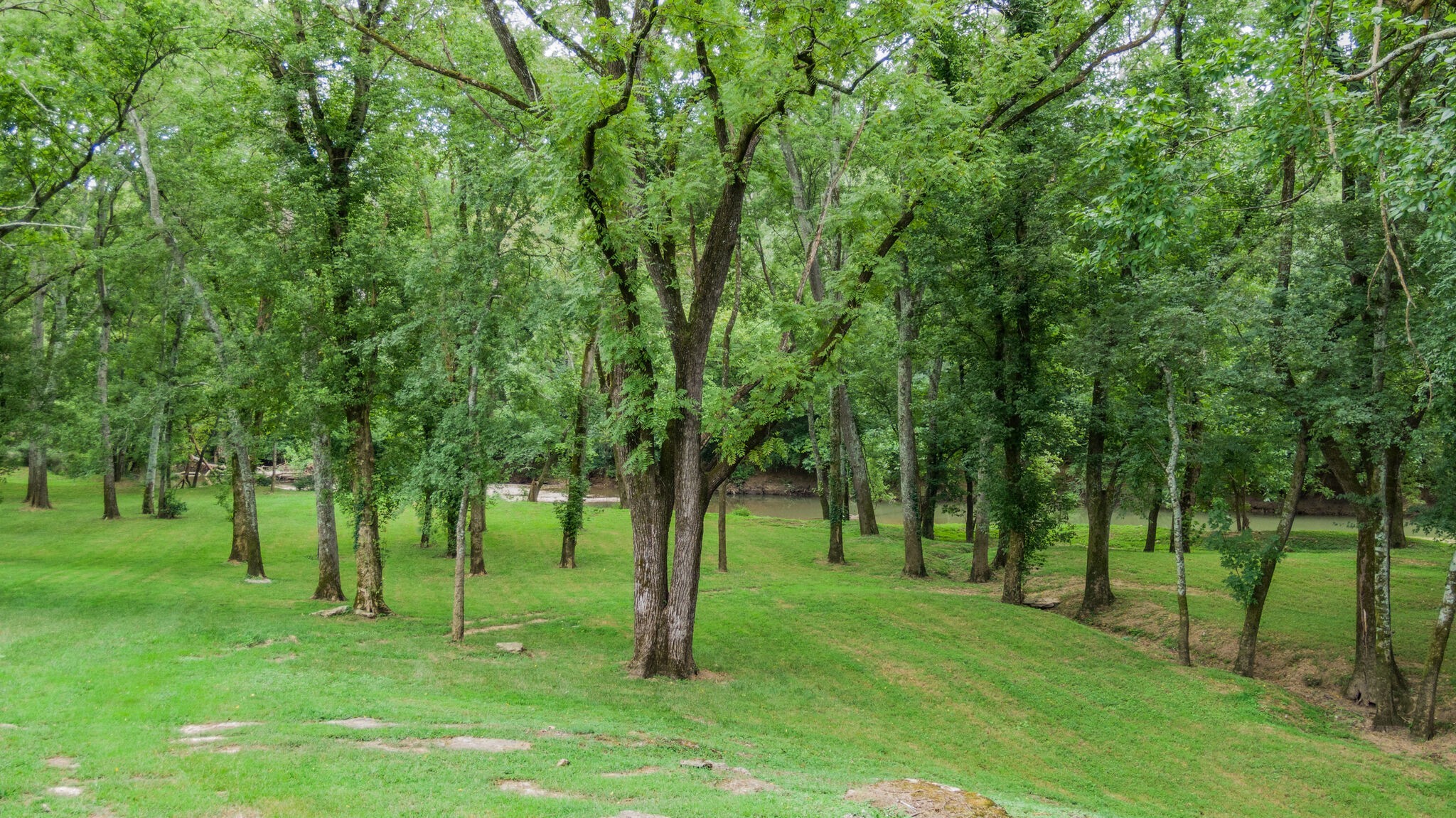 4216 Two Rivers Lane Franklin, TN 37069 - Photo 49 of 50
