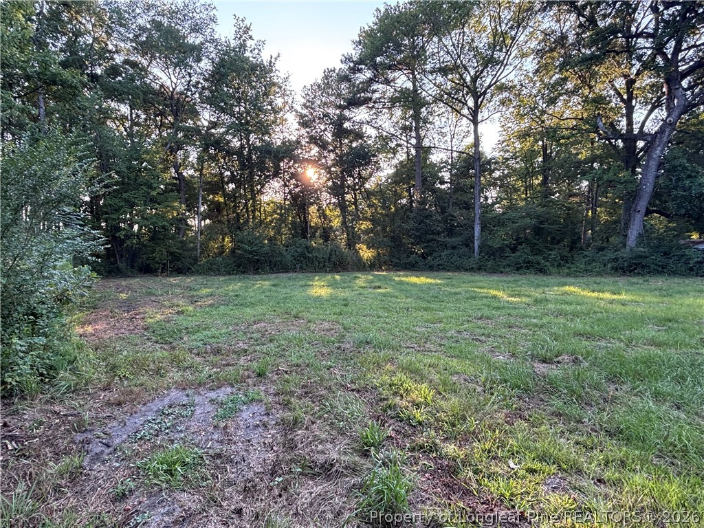595 Shaw Road St. Pauls, NC 28384 - Photo 19 of 29