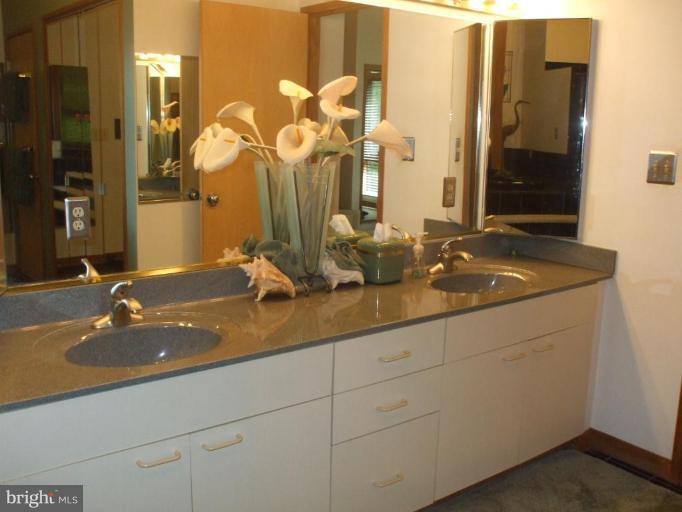 686 Discovery Road Davidsonville, MD 21035 - Photo 10 of 30 a bathroom with a sink and a mirror