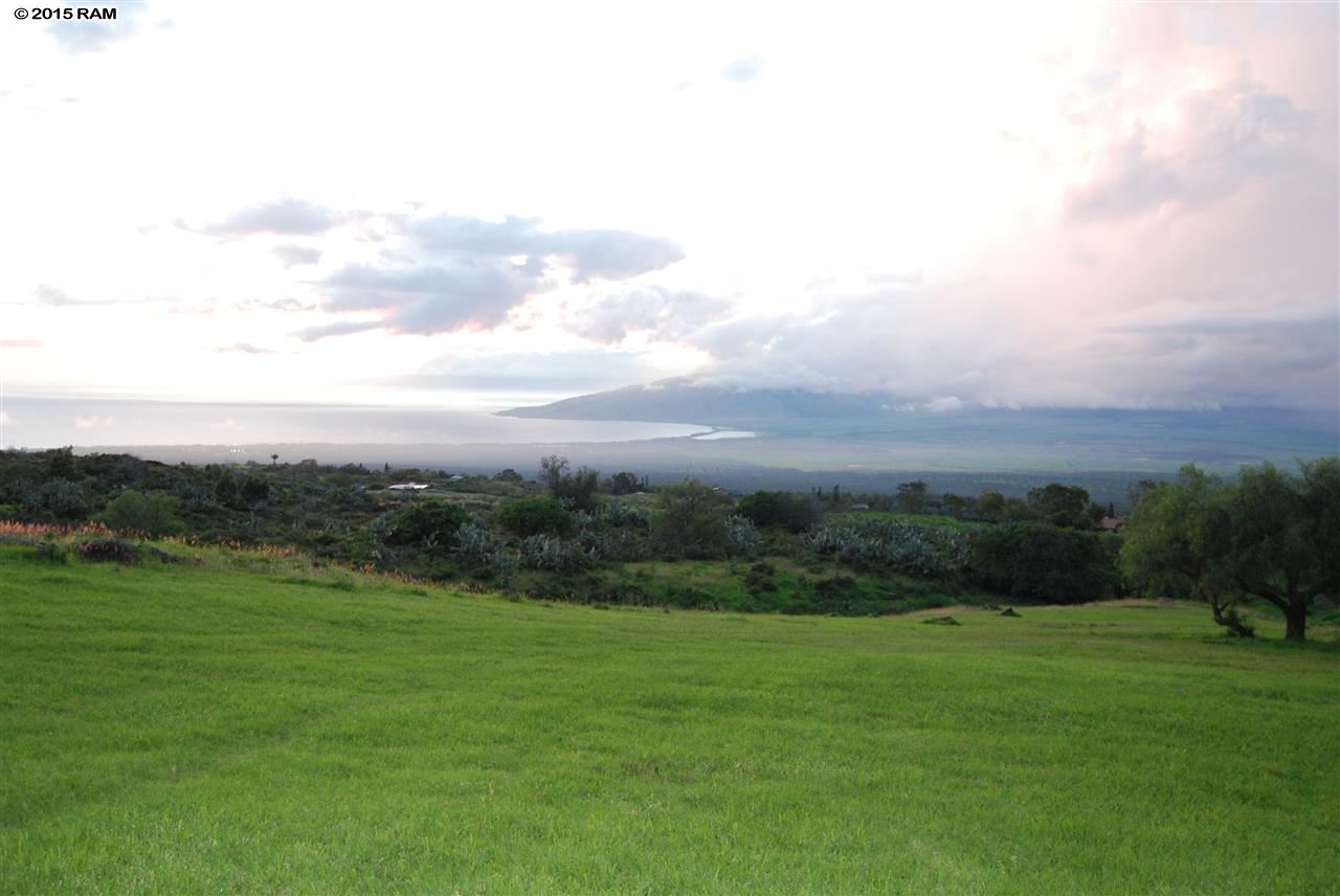 445 Calasa Road, Unit LOT #8 Kula, HI 96790 - Photo 20 of 23 a view of a grassy field with trees