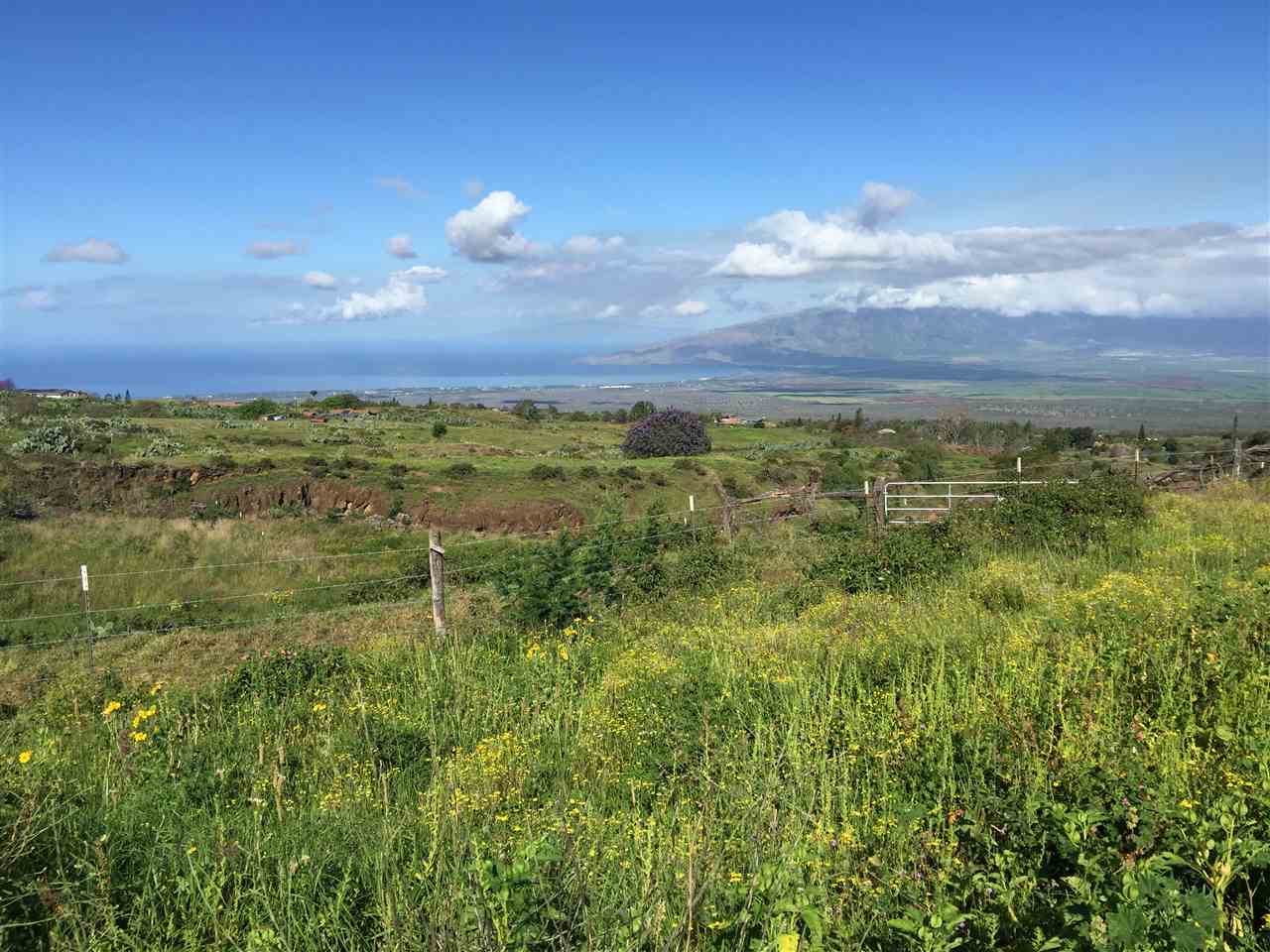 445 Calasa Road, Unit LOT #8 Kula, HI 96790 - Photo 3 of 23 a view of a city