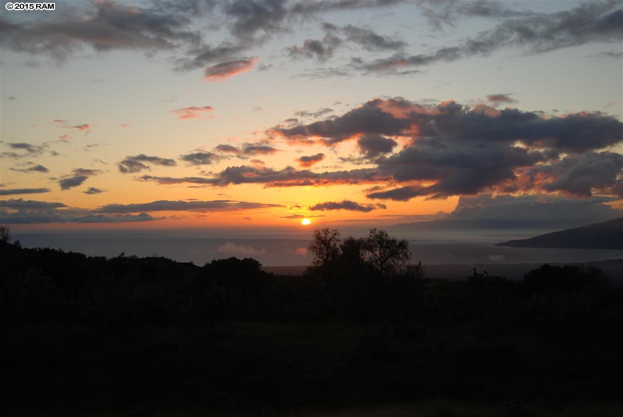 445 Calasa Road, Unit LOT #8 Kula, HI 96790 - Photo 5 of 23