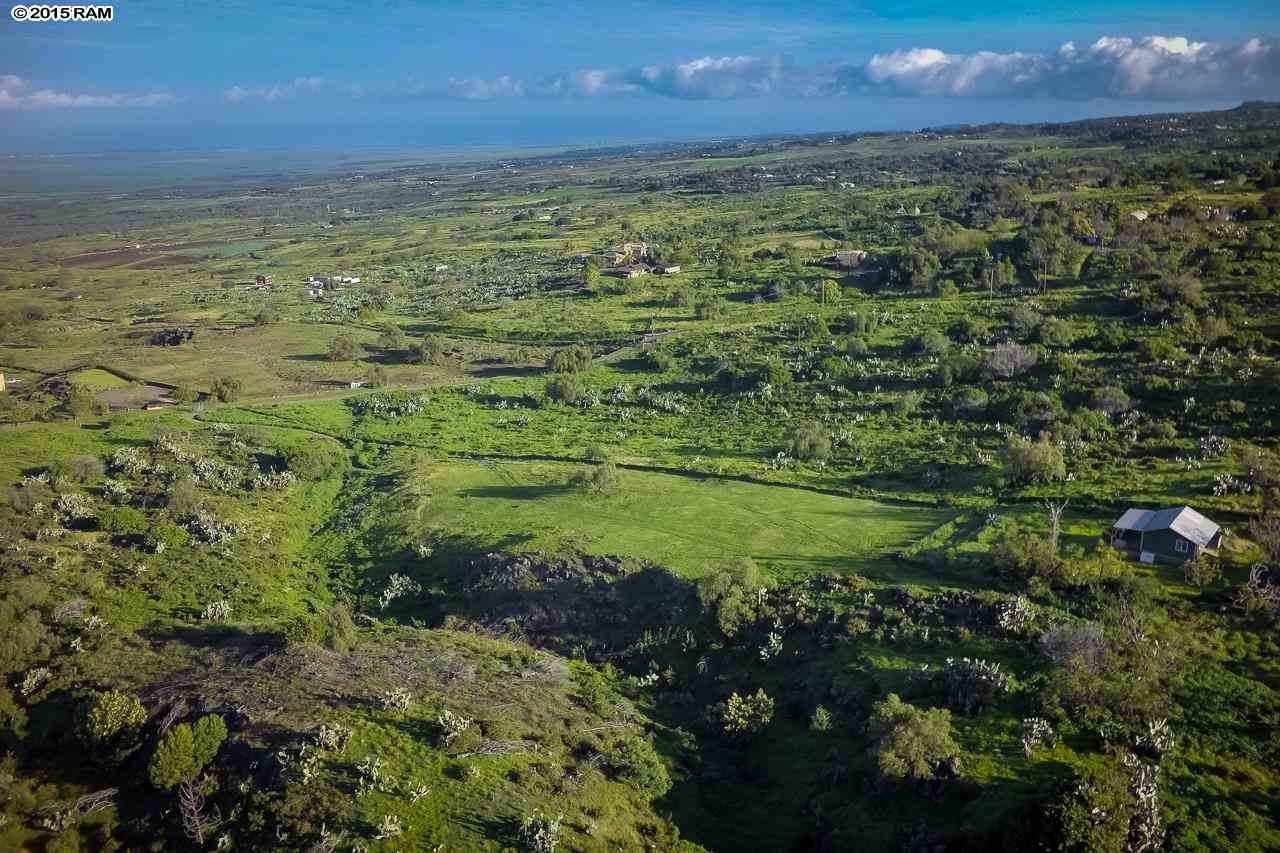 445 Calasa Road, Unit LOT #8 Kula, HI 96790 - Photo 8 of 23 a view of a yard with an outdoor space