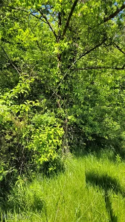 $2,500 | Harvard Road, Youngstown, OH 44514