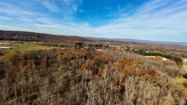 an aerial view of residential building and trees around