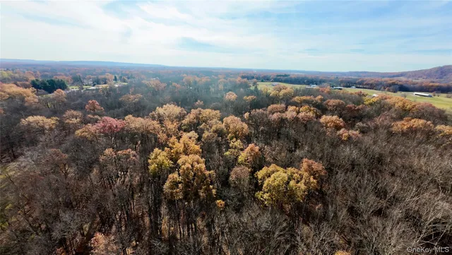 a view of city and mountain