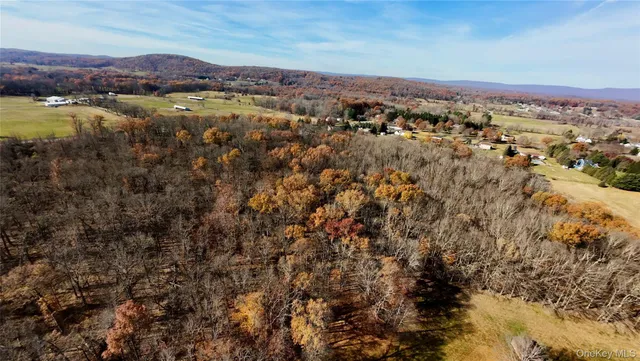 an aerial view of residential houses with outdoor space and trees