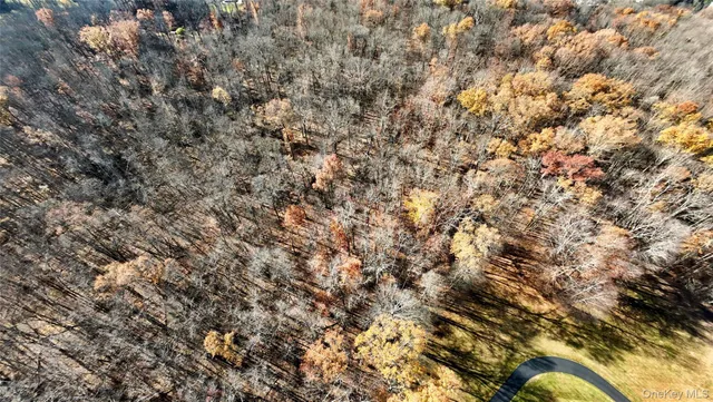 a view of a tree with a tree