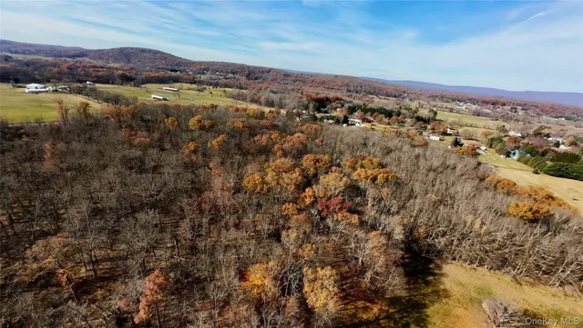 an aerial view of residential houses with outdoor space and trees