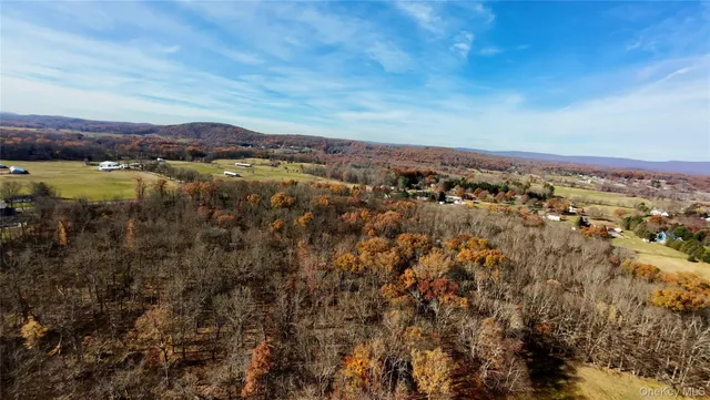 a view of a city with ocean view