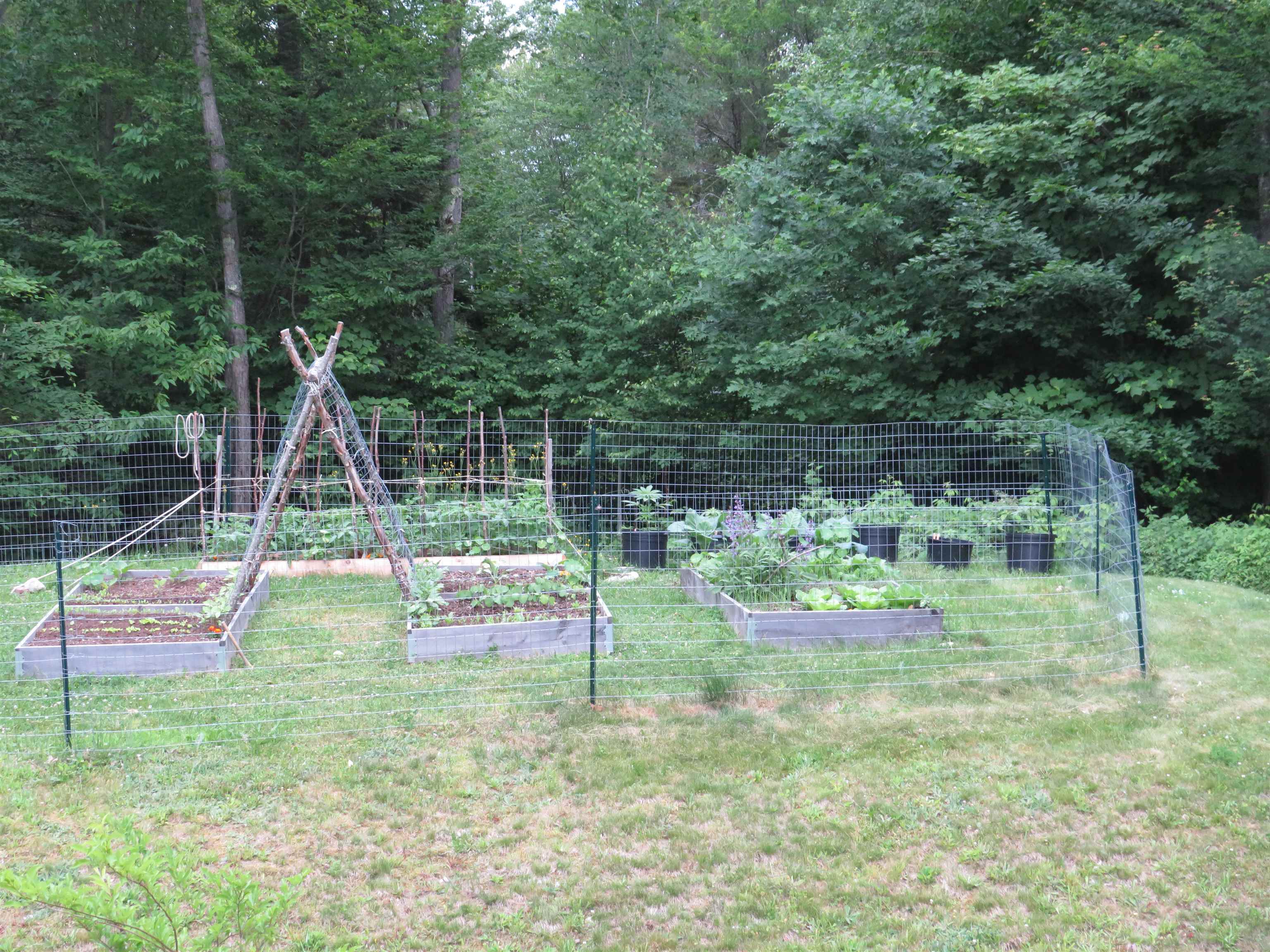 111 Palmer Road Enfield, NH 03748 - Photo 30 of 33