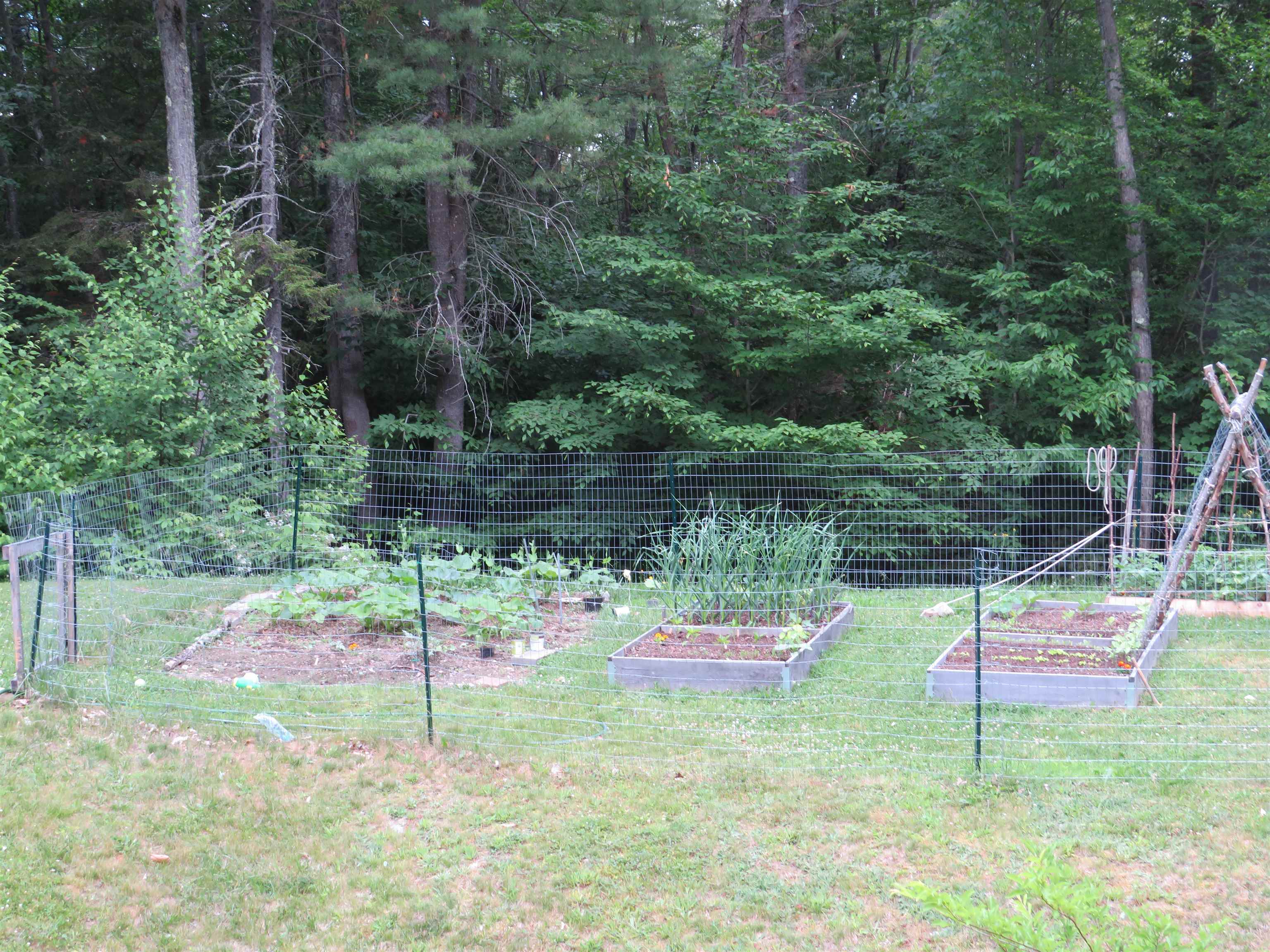 111 Palmer Road Enfield, NH 03748 - Photo 31 of 33
