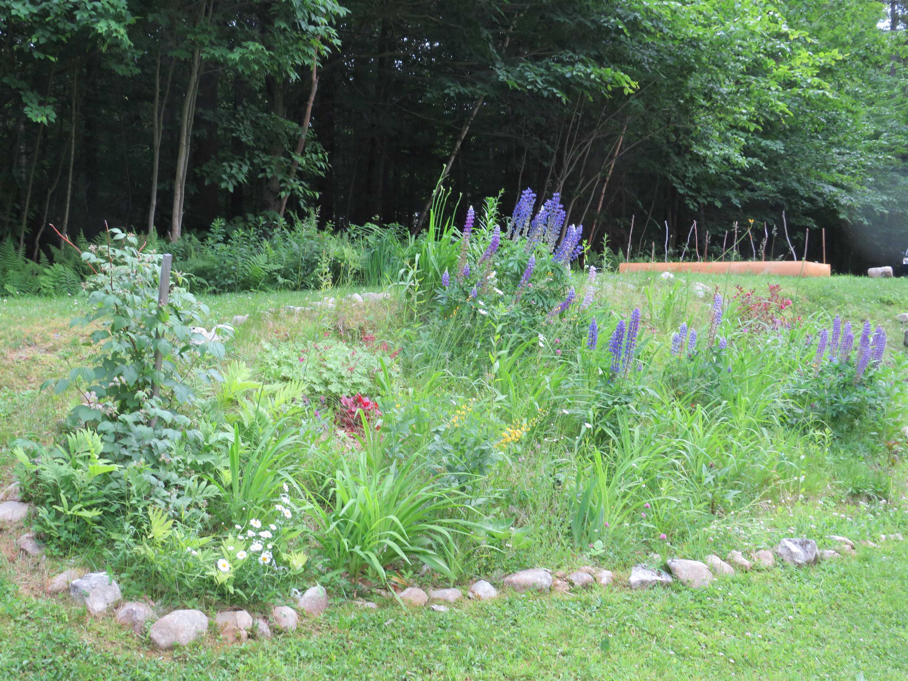 111 Palmer Road Enfield, NH 03748 - Photo 32 of 33