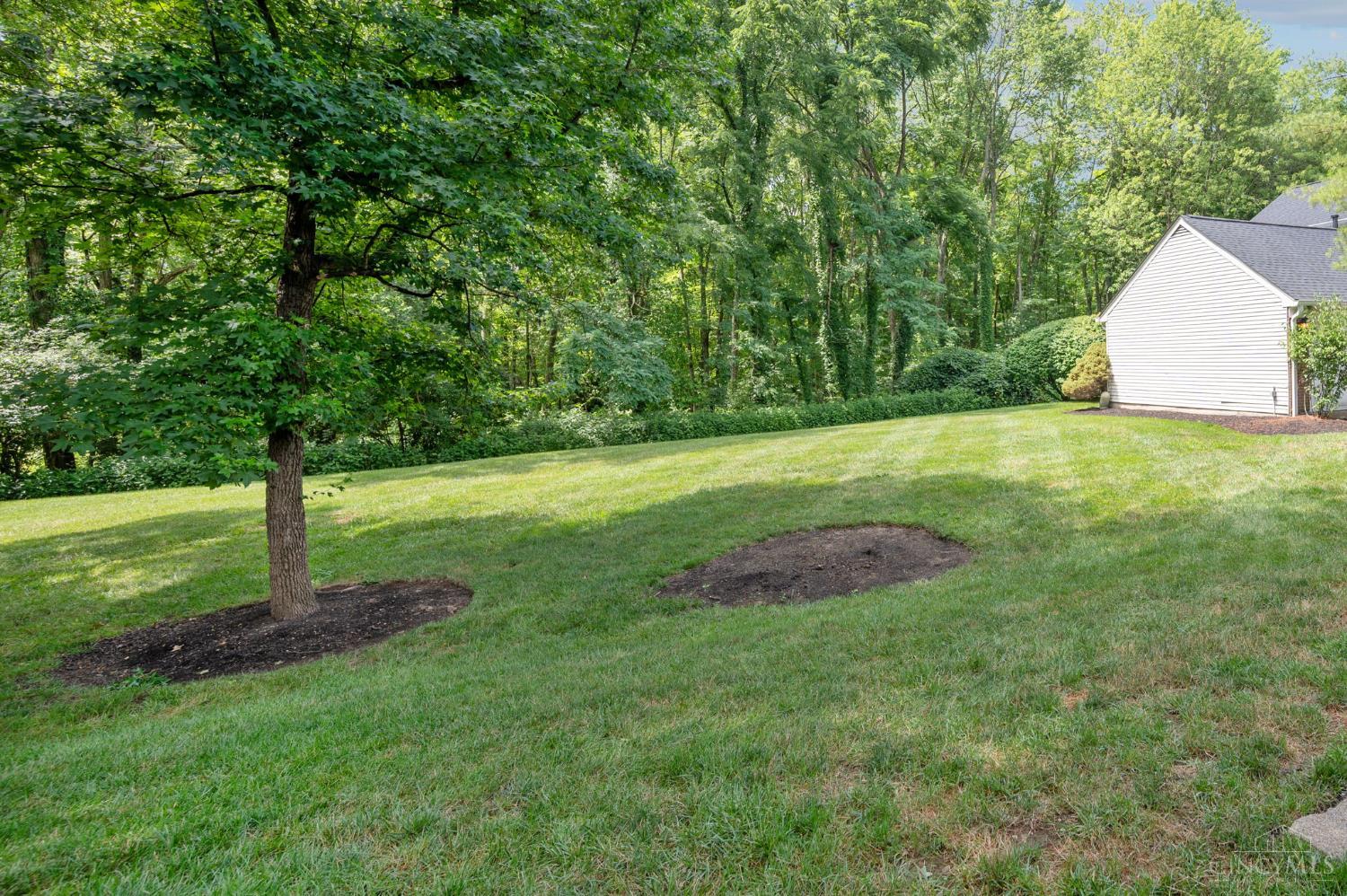 6355 Corbly Road, Unit 19 Cincinnati, OH 45230 - Photo 8 of 32 Gallery Image 8